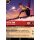 119/204 - Peter Pan Held aus Nimmerland - Common - Lorcana - Die Tintenlande
