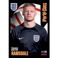 270 - Aaron Ramsdale - 2024