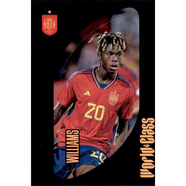 344 - Nico Williams - 2024