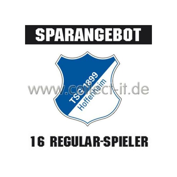 Mannschafts-Paket - 1899 Hoffenheim - Saison 2012/13 - Saison 12/13