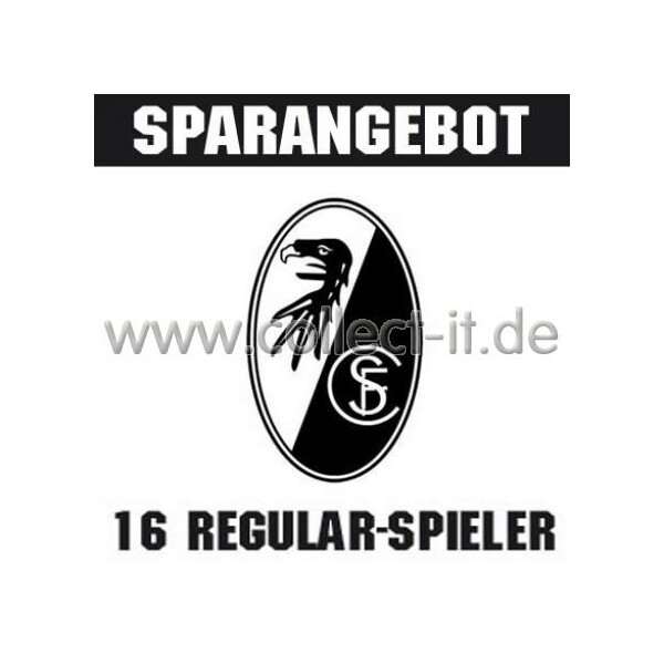 Mannschafts-Paket - SC Freiburg - Saison 2013/14