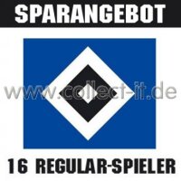 Mannschafts-Paket - Hamburger SV - Saison 2013/14