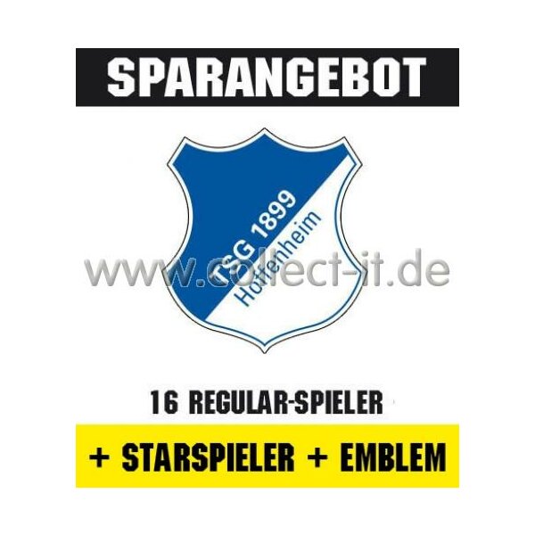 Mannschafts-Paket mit Starspieler und Wappen - 1899 Hoffenheim - Saison 2013/14