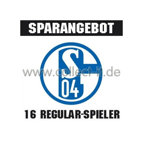 Mannschafts-Paket - FC Schalke 04 - Saison 2013/14