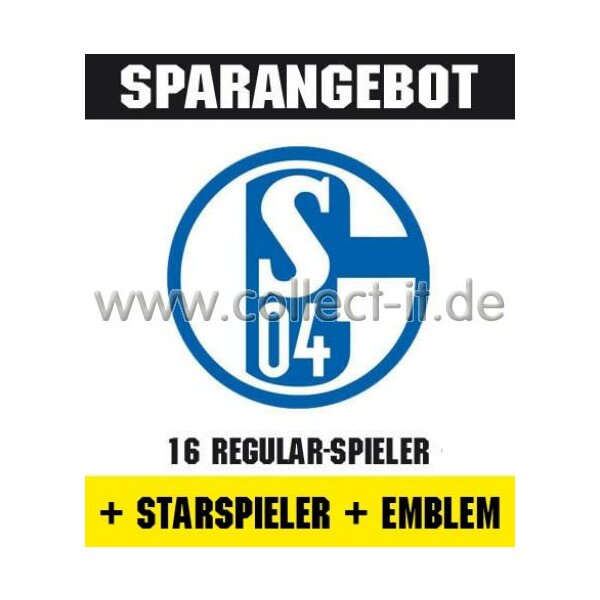 Mannschafts-Paket mit Starspieler und Wappen - FC Schalke 04 - Saison 2013/14