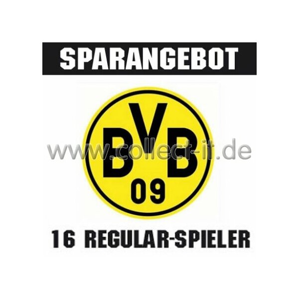 Mannschafts-Paket - Borussia Dortmund - Saison 2014/15 - Saison 14/15