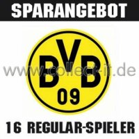 Mannschafts-Paket - Borussia Dortmund - Saison 2014/15 -...