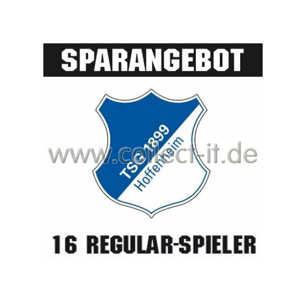 Mannschafts-Paket - TSG 1899 Hoffenheim - Saison 2014/15 - Saison 14/15