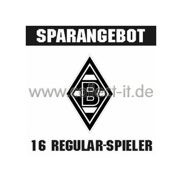 Mannschafts-Paket - Borussia Mönchengladbach - Saison 2014/15 - Saison 14/15