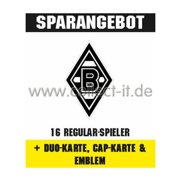 Mannschafts-Paket mit Duo-Karte, Cap-Karte & Emblem - Borussia Mönchengladbach - Saison 2014/15 - Saison 14/15