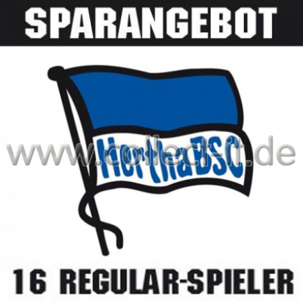 Mannschafts-Paket - Hertha BSC - Saison 2015/16