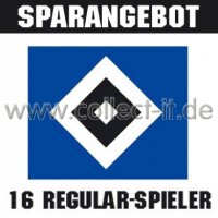 Mannschafts-Paket - Hamburger SV - Saison 2015/16