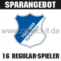 Mannschafts-Paket - TSG 1899 Hoffenheim - Saison 2015/16