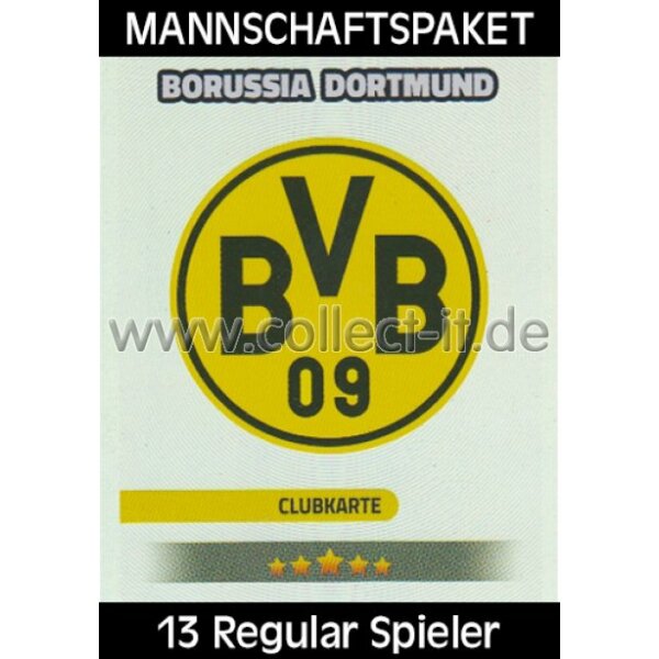 Mannschafts-Paket - Borussia Dortmund - Saison 2016/17