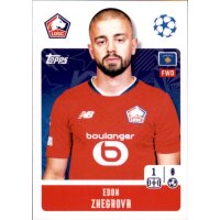 488 - Edon Zhegrova - LOSC Lille Metropole Metropole