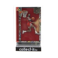 Michael Jordan Jersey Relic Chicago Bulls 7/25 - Jersey...