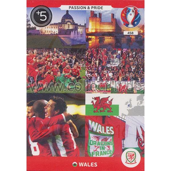 PAD-EM16-458 Passion&Pride - Wales