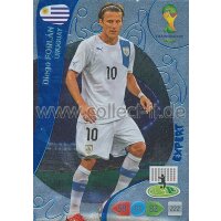 PAD-WM14-386 - Diego Forlan - Expert