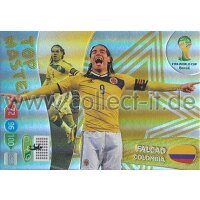 PAD-WM14-408 - Falcao - Top Master