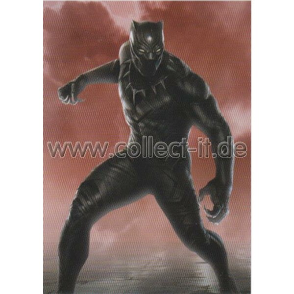 Marvel Heroes Trading Card Nr.80 - Black Panther