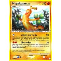 35/123 - Mogelbaum