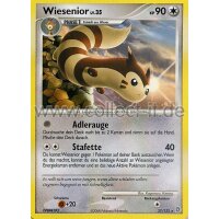 27/132 - Wiesenior