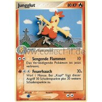 31/100 - Jungglut