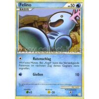 88/123 - Felino