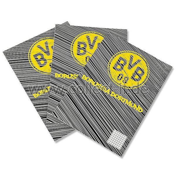 BVB-Schulhefte (3 Stück)