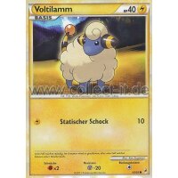 63/95 - Voltilamm