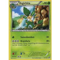 8/114 - Vegichita