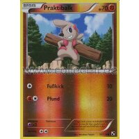 59/114 - Praktibalk - Reverse Holo