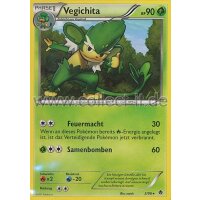 2/98 - Vegichita