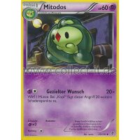 43/101 - Mitodos