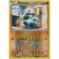 47/101 - Machollo - Reverse Holo