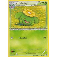 4/114 Hubelupf - XY Dampfkessel