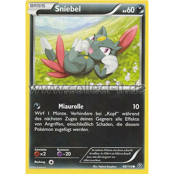 60/114 Sniebel - XY Dampfkessel
