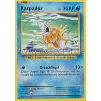 33/108 Karpador - Evolution