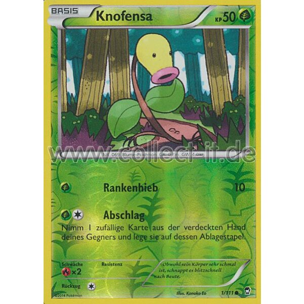 1/111 - Knofensa - Reverse Holo | XY Fliegende Fäuste