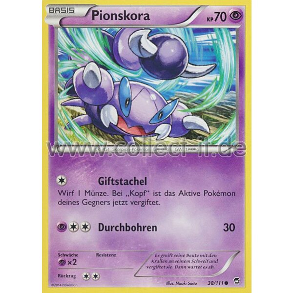 38/111 - Pionskora | XY Fliegende Fäuste