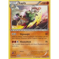 050/111 - Kapilz | XY Fliegende Fäuste