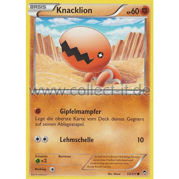 53/111 - Knacklion | XY Fliegende Fäuste