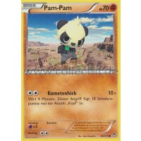 060/111 - Pam-Pam | XY Fliegende Fäuste