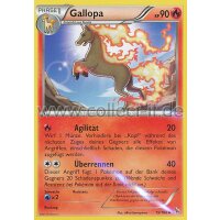 15/106 Gallopa