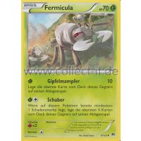 9/122 Fermicula - Turbofieber