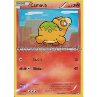 12/122 Camaub - Turbofieber