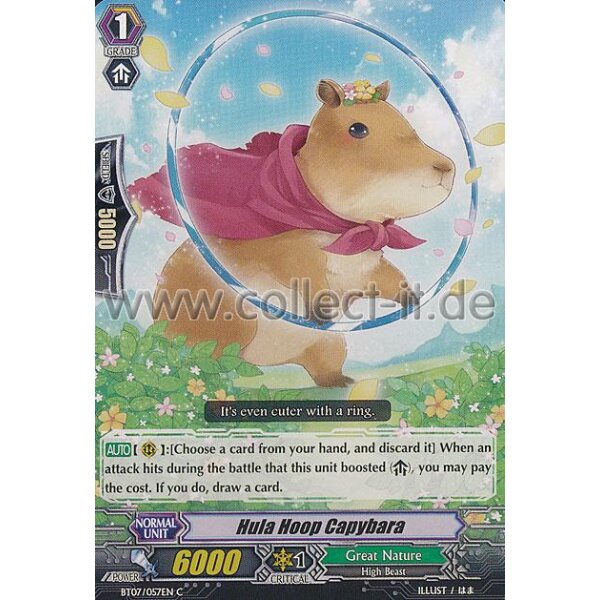 BT07/057 - Hula Hoop Capybara