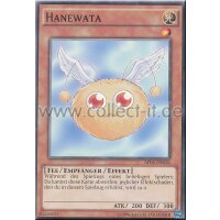 AP05-DE016 Hanewata