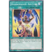AP06-DE024 Donnernder Absturz