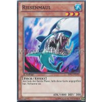 BP01-DE165 Riesenmaul